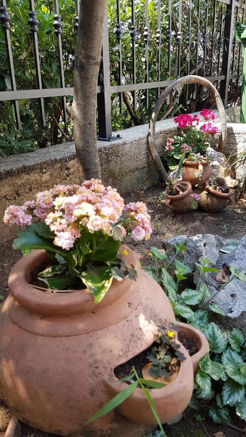 Apartments Gorana تْسْغيكفانِتْسا المظهر الخارجي الصورة
